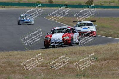 media/May-04-2024-Lucky Dog Racing (Sat) [[d39539b3f3]]/Race Pics/1015am (Turn 2)/